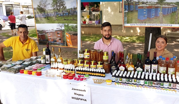 ПО КОШНИЦИ САМО 5 КГ! Катастрофално лоша година за пчеларе